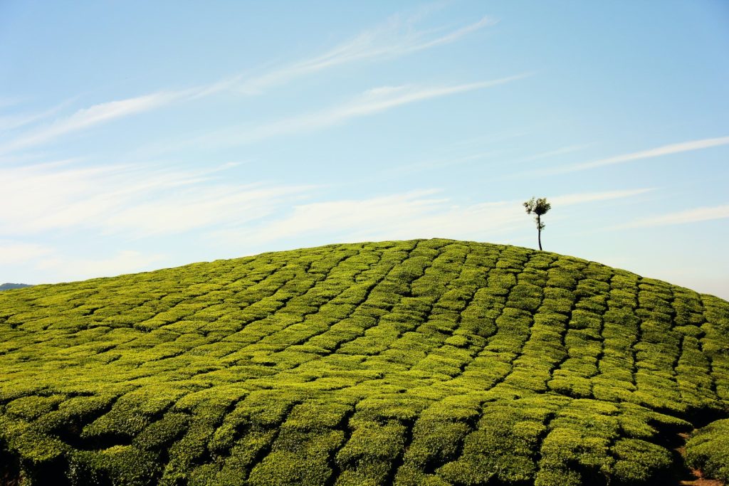 Fotografia de Bhupesh Talwar – Unsplash
