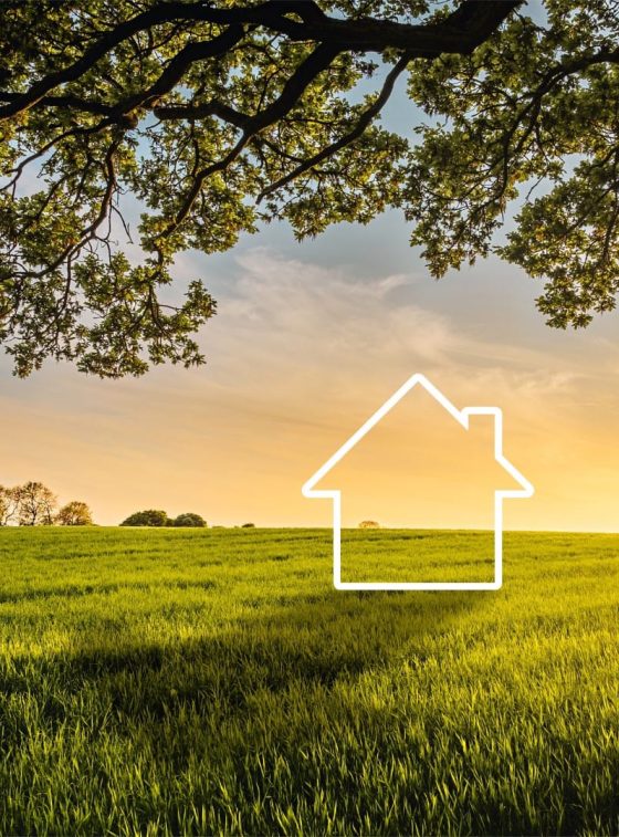 Real Estate Market – How to Invest in Land in Portugal